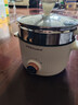 荣事达电蒸锅电炒锅电煮锅电炒锅多功能一体2025新款电火锅电锅电蒸锅炖蒸煮一体蒸锅电锅DZG22A蒸笼2.0L 实拍图