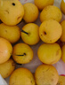 樱慕晴【JD地标认证】正宗辽宁鞍山南果梨东北特产南国梨香水梨新鲜水果 净重5斤【普装小果黄梨】约40枚 实拍图