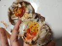 【活蟹】蟹宗鲜活大闸蟹现货全母2.8-3.1两8只水产生鲜螃蟹鲜活海鲜礼盒节日送礼礼品 实拍图
