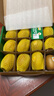 佳沛（zespri）新西兰 阳光金奇异果12粒礼盒特大果单果约122-146g 猕猴桃 水果 实拍图