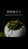 峨眉雪芽2025年新茶【门店同款】明前慧欣绿茶 嫩芽茶叶送礼茗茶礼盒120g 实拍图