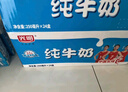 光明【新鲜日期】纯牛奶250mL*24盒家庭量贩装营养早餐伴侣送礼 实拍图