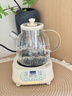 奥特优（AOTEYOU）养生壶炖煮壶一体煮茶壶烧水壶全玻璃养生壶小型一人热水壶迷你养生壶全自动办公室花茶恒温烧水壶 【茶漏款】120min恒温丨24小时预约丨 1.2L 实拍图