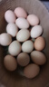 山林散养鲜鸡蛋40g枚早餐京东包邮买菜生鲜土鸡蛋溏心蛋水煮蛋 15枚 40g 实拍图