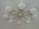 雷士（NVC）北欧简约法式奶油风吊灯客厅灯风扇灯分高显8头包安装 实拍图