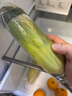 滇味十足（DIANWEISHIZU）水果玉米甜玉米云南金银双色新鲜甜嫩水果玉米棒鲜玉米茄果瓜 金银双色 【精选5斤】（净重 约5-9根） 实拍图