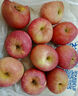 京鲜生 烟台红富士苹果 净重8斤  单果230g起 水果礼盒 实拍图