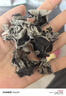 十月稻田 东北黑木耳 500g 干木耳 黑龙江东宁特产 肉厚无根 火锅凉拌炒菜 实拍图