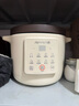 九阳（Joyoung）【国家补贴】电炖锅电砂锅电炖盅炖汤盅煲汤锅高温瓷燕窝炖盅煮粥神器熬粥专用锅3L大容量GD317 实拍图