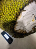 越南菠萝蜜正宗进口鲜果香甜可口果王稀缺脆甜带皮出果肉40%左右 整果7斤-9斤 实拍图
