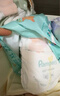 帮宝适散热王者一级帮婴儿拉拉裤 尿不湿尿片尿布超薄透气XL50 实拍图