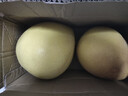 福建平和老树红柚 新鲜现摘 皮薄肉厚多汁 蜜柚柚子 带箱9-10斤（两粒装） 实拍图