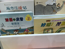 波西和皮普绘本全套装赠贴纸、名字贴（套装共11册）0-4岁低幼启蒙情绪管理绘本，在熟悉的生活场景中培养宝宝好性格省钱卡暑假作业 一升二暑假衔接 小升初暑假衔接 实拍图