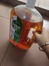 滴露消毒液衣物除菌液洗衣消毒水1.8L杀菌除螨家居衣物除菌甲流H3N2 实拍图