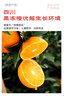京鲜生 四川爱媛38号果冻橙 净重4.5-5斤 单果120g+ 源头直发包邮 实拍图