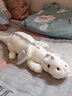 景森小飞龙玩偶睡觉抱枕恐龙毛绒玩具夹腿抱睡公仔女生床上专用大娃娃 白色款 超大号全长约150cm 实拍图