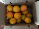 土八鲜江西橙子赣南脐橙新鲜水果赣州脐橙手剥甜橙礼盒 未来橙9-10斤装【果径80-89mm】 实拍图