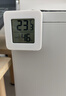 温度计湿度计室内干湿家用小米平替电子温湿度显示器迷你便携高精度壁挂式静音 迷你温湿度计/白色 实拍图
