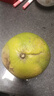 京鲜生 翡翠青柚 红心柚 1粒装 单果1.5斤起 生鲜柚子水果 实拍图