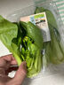 【24小时菜】富硒小油菜200g 实拍图