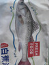 仙泉湖三去白蕉海鲈鱼 400g/条净膛冷冻刺少肉厚特产食材生鲜水产 实拍图