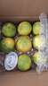 京觅福建青皮爆汁葡萄柚 单果300g起8.5斤装 约10-14个  送榨汁器 实拍图