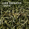 京东京造 2025新茶特级信阳毛尖100g栗香明前嫩芽叶绿茶茶叶自营 送礼 实拍图