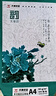 新绿天章(TANGO)国风绿韵a4纸打印纸白纸 5包双面复印纸木浆纸办公草稿纸 【1箱】绿天章韵/80g/A4/2500张/箱 实拍图