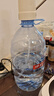 伊利伊刻活泉火山天然矿泉水 5L*4瓶整箱装天然弱碱【热门商品】 实拍图