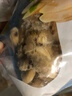 獐子岛 蚬子肉1斤 去壳去沙蛤蜊肉花甲肉 生鲜海鲜水产贝类火锅烧烤食材 实拍图