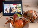 【活蟹】今锦上大闸蟹鲜活螃蟹礼盒全母2.8-3.1两8只装精品礼盒礼品 去绳足重  实拍图