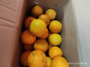 甜蜜有礼麻阳冰糖橙当季新鲜采摘水果手剥甜夏新鲜采摘橙子礼盒当季彩整箱 5斤 （27个左右）超值装 实拍图