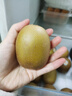 佳沛（zespri）新西兰 阳光金奇异果12粒礼盒特大果单果约122-146g 猕猴桃 水果 实拍图