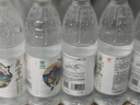 武当山饮用水 天然弱碱水550ml*24瓶 塑膜装 丹江口深层水源 实拍图
