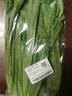【24小时菜】油麦菜 300g 实拍图