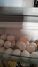 保卫蛋蛋新鲜鸽子蛋农家孕妇宝宝杂粮喂养送礼礼盒年货节礼盒送礼 精选大个丨鸽子蛋20枚（400g） 实拍图