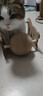 HELLOJOY逗猫咪玩具自嗨解闷猫抓板幼猫爪板小猫抓球耐抓不掉屑耐磨猫爬架 实拍图