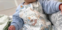 威尔贝鲁（WELLBER）恒温睡袋婴幼儿1-3岁竹棉睡衣秋冬儿童宝宝防踢被子厚夹棉 梦境S 实拍图