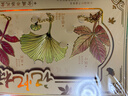 舒星彩色叶脉金属书签礼盒精致古典中国风伴手礼故宫文创纪念品生日礼物送女生毕业送老师同学纪念意义 实拍图
