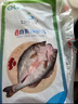 仙泉湖三去白蕉海鲈鱼1斤/条净膛冷冻刺少肉厚珠海特产500g生鲜食材 实拍图