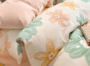 洁丽雅四件套 A类3A抗菌面料全棉亲肤 100%纯棉AB版 1.5/1.8M床 清雅 实拍图