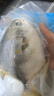 翔泰海南深海金鲳鱼700g 2条 火锅 生鲜鱼类 BAP认证 海鲜水产  实拍图