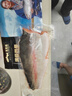 龙羊峡冰鲜国产青海三文鱼柳1200g高原虹鳟生鲜鱼类源头直发 实拍图