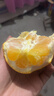集南鲜 赣南脐橙 江西橙子新鲜现摘水果脐橙时令生鲜水果甜橙 水果礼盒 彩箱10斤特级橙  单果220g+ 净重9斤 推荐 实拍图