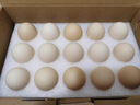 1号会员店可生食鸡蛋30枚净重3.6斤精选大码蛋礼盒装 源头直发 实拍图