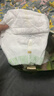 babycare金山茶花拉拉裤XXXXL26片(＞19kg)婴儿尿不湿超薄透气轻柔花苞裤 实拍图