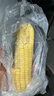 京鲜生东北白糯玉米250g*10棒 新鲜甜糯玉米棒真空包装粘玉米 源头直发 实拍图