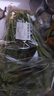 大菠菜300g 实拍图