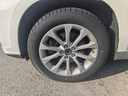 邓禄普（DUNLOP）轮胎/汽车轮胎 235/55R18 100V GRANDTREK PT3 适配科帕奇/哈弗H2 实拍图