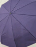 天堂 全自动雨伞三折 10骨加固一键开收易甩干简约晴雨伞 兰灰 实拍图